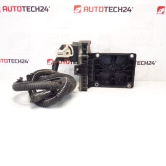 Citroën Peugeot Роботизирана скоростна кутия ECU 9674693580 2531A4